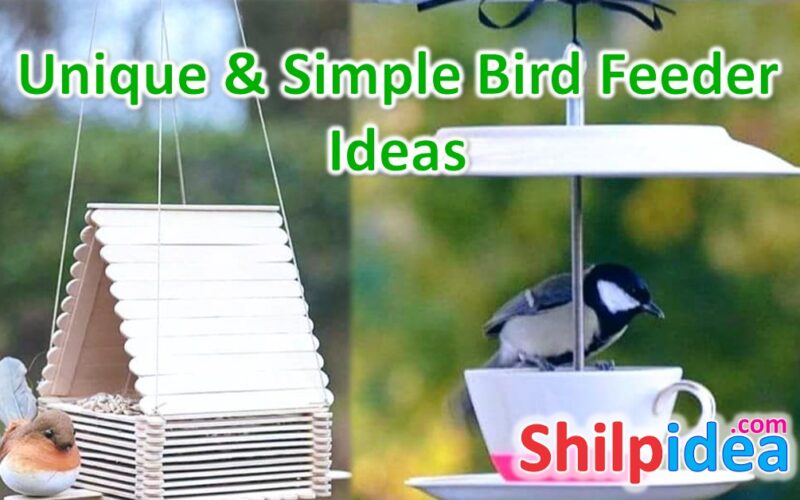 bird-feeder-ideas-shilpidea