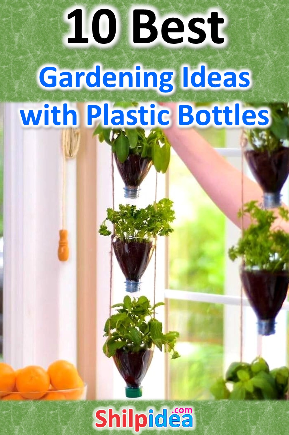 gardening-ideas-plastic-bottle-shilpidea-pin