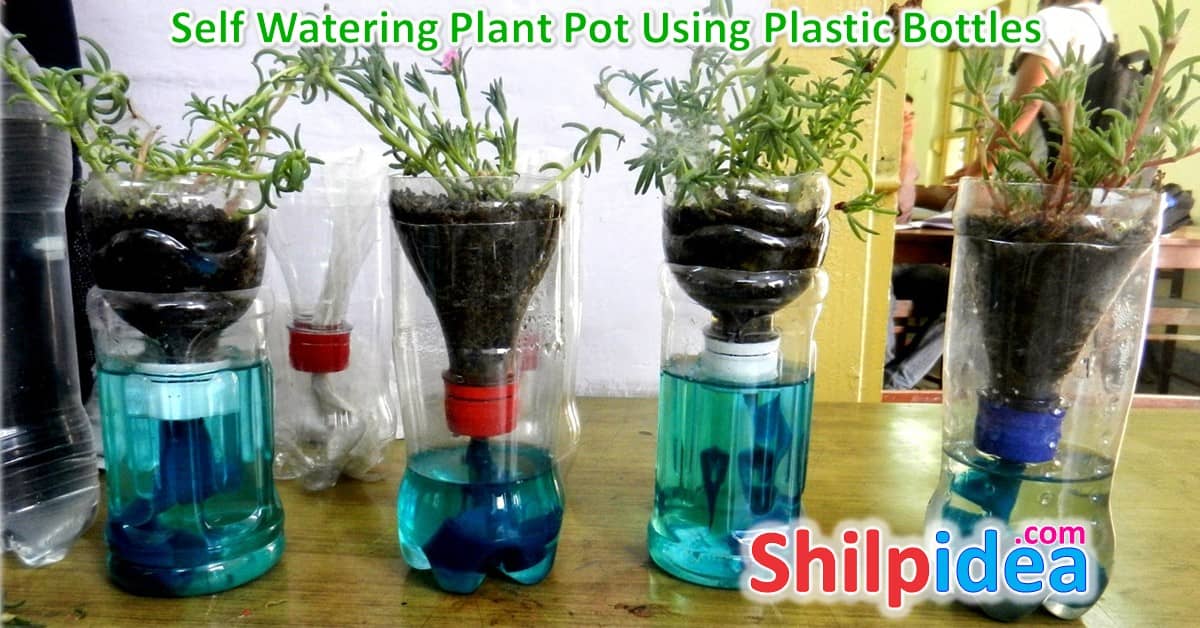 self-watering-plant-pot-ideas-shilpidea
