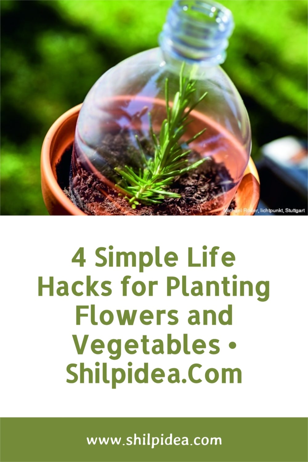simple-life-hacks-for-gardening-shilpidea-pin