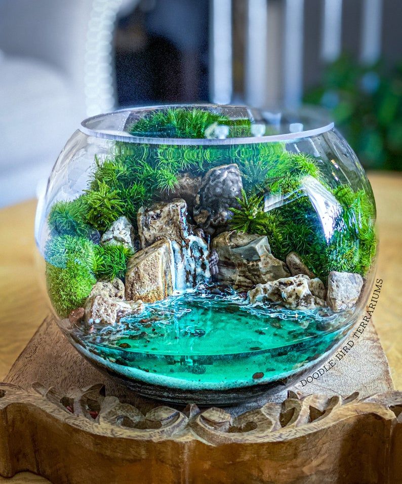 unique ideas for making terrariums