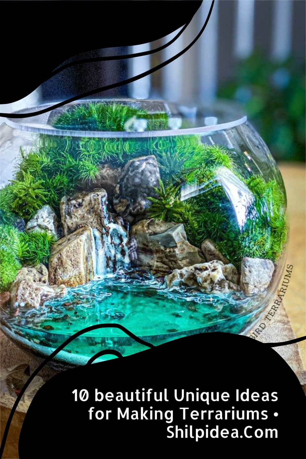 ideas-for-making-terrariums-shilpidea