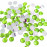 Rhinestones Flatback - Pack of 100 - Green
