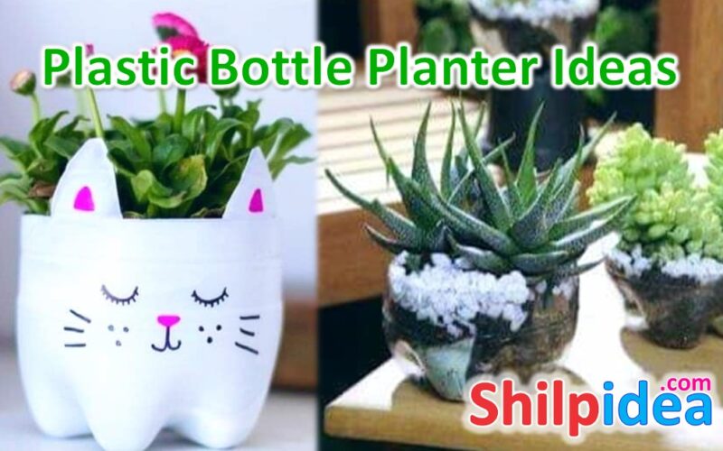 plastic-bottle-planter-ideas-shilpidea