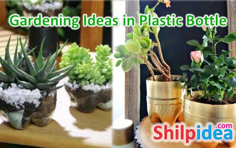 gardening-ideas-plastic-bottle-shilpidea
