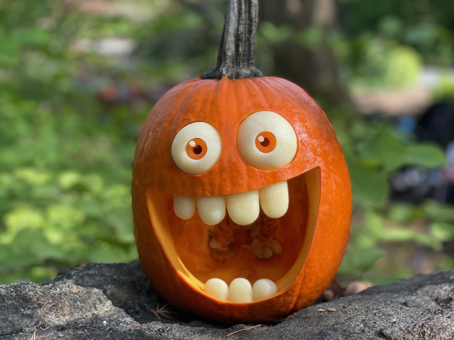 Oversized Grin Pumpkin Carving by Adam Bierton Sculpted pumpkin character with large eyes and an oversized toothy grin