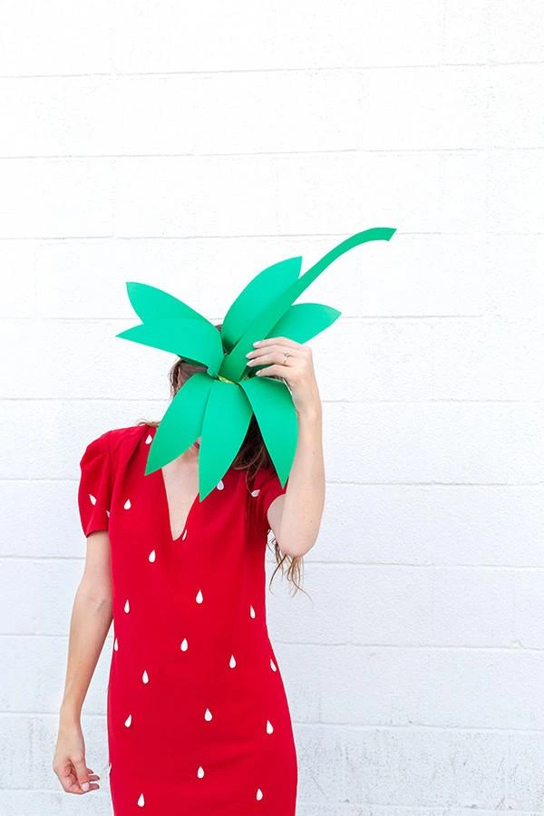Red Dress Turned into a Strawberry — photo